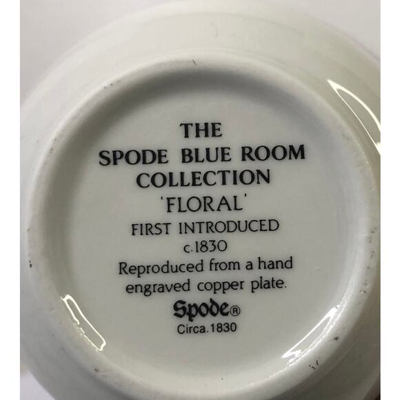 The Spode Blue Room Collection Floral Teacup and Saucer - Picture 10 of 13